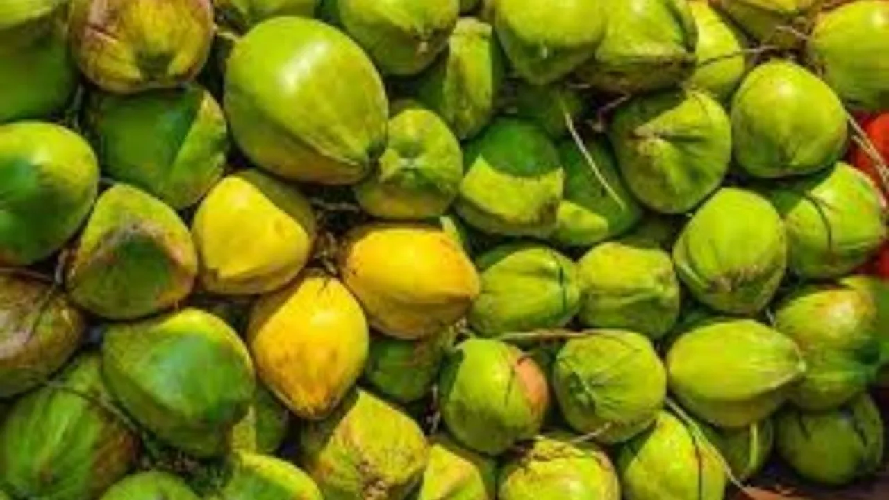 Bengaluru: Miscreants steal 900 tender coconuts leaving woman seller in great distress