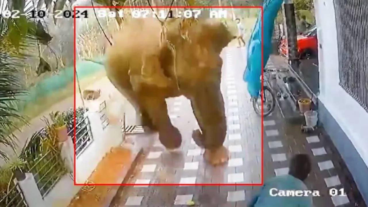 Karnataka: Government announces Rs 15 lakh for family of Ajeesh attacked by elephant in Wayanad