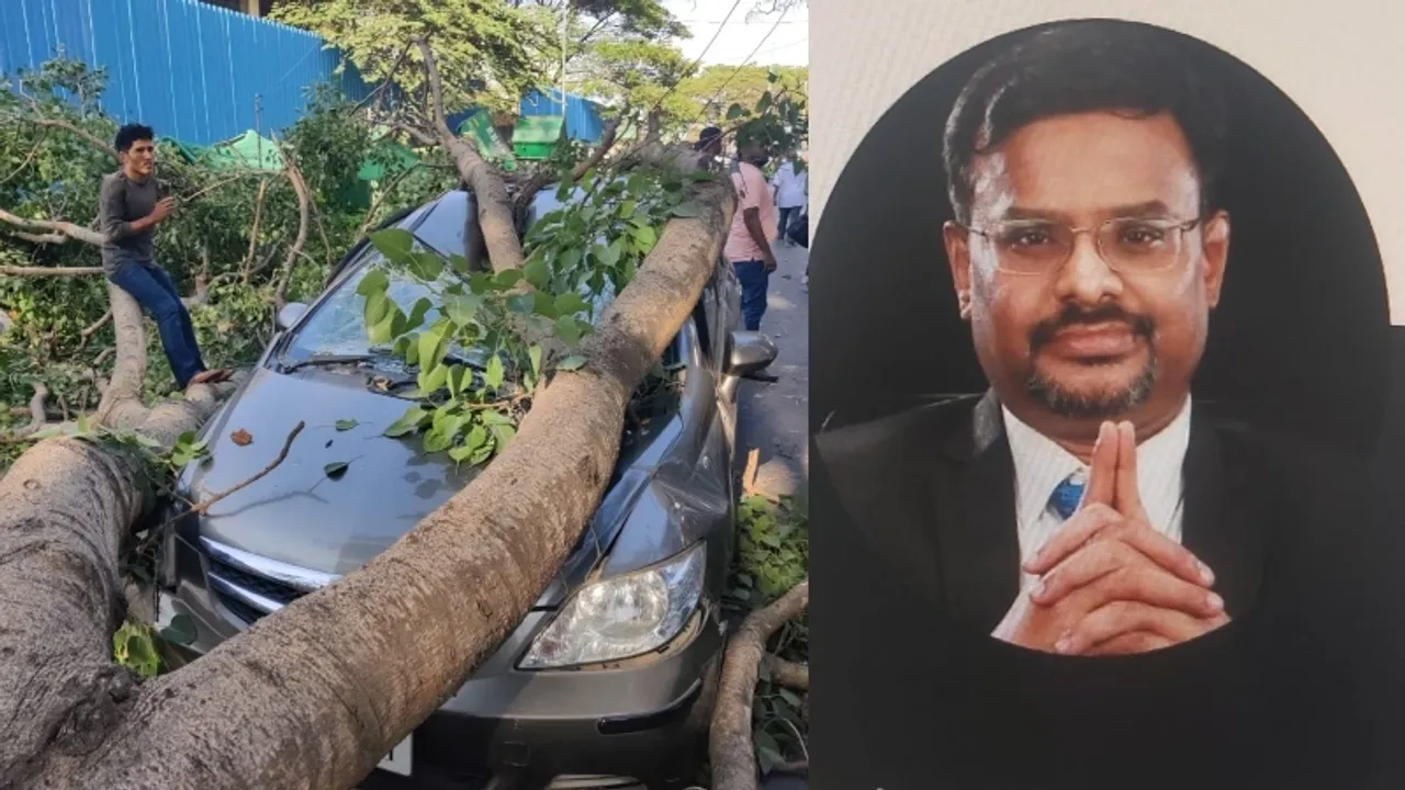 Bengaluru: Doctor narrowly escapes death after tree falls on car