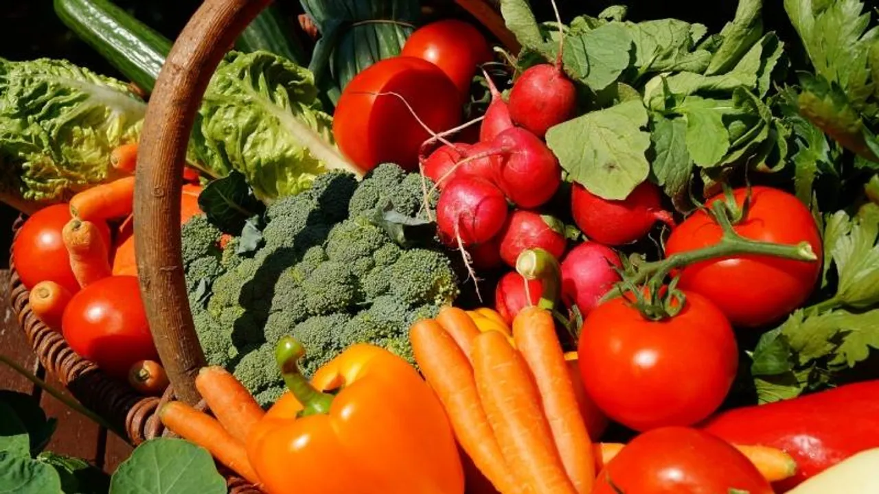 Exploring the rich tapestry of vegetarianism: Types, benefits, and myths