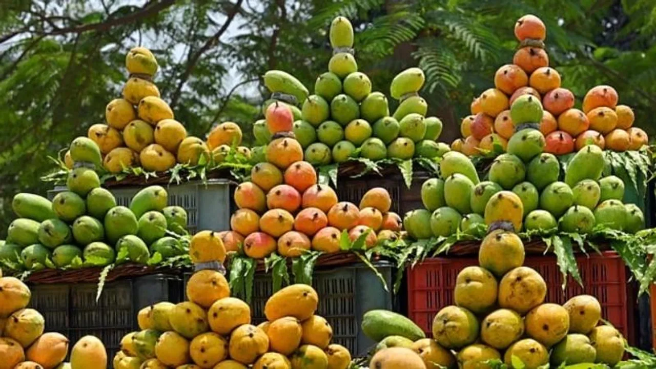 Bengaluru: Lalbagh to host three-week Mango Mela starting May 23