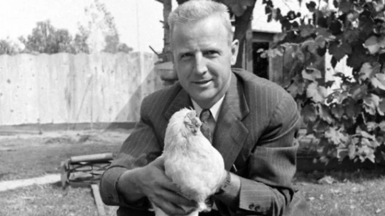 Headless wonder: Remarkable tale of Mike the headless chicken