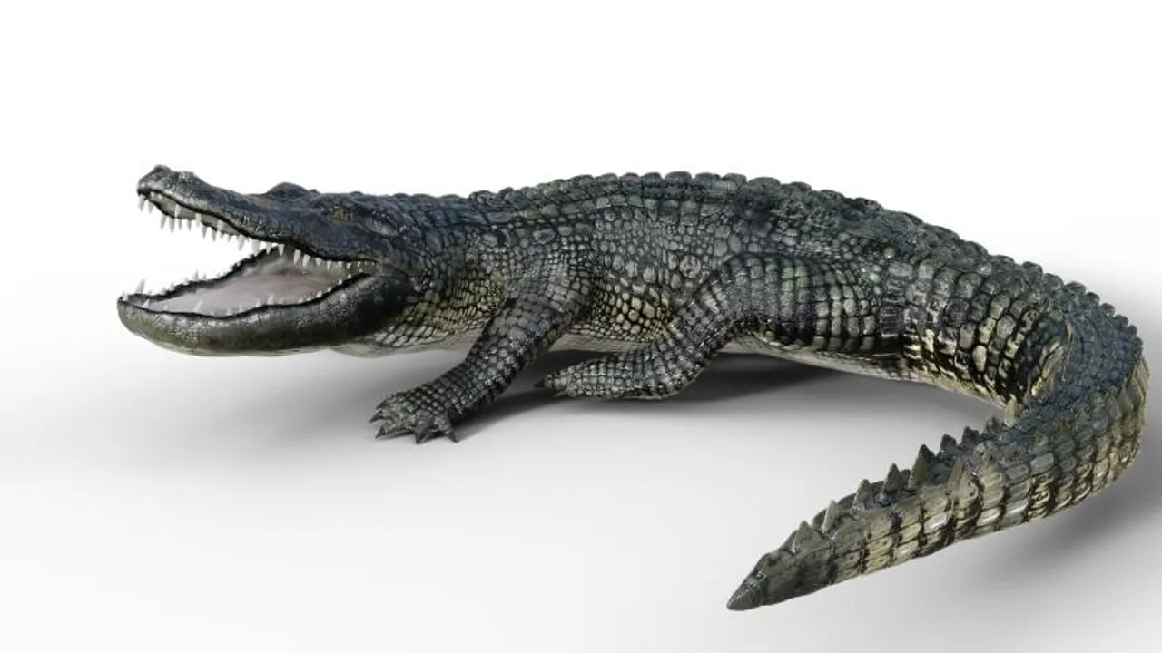 Karnataka: Mother throws 6-yr-old hearing impaired son into canal inhabited by crocodiles, child dies