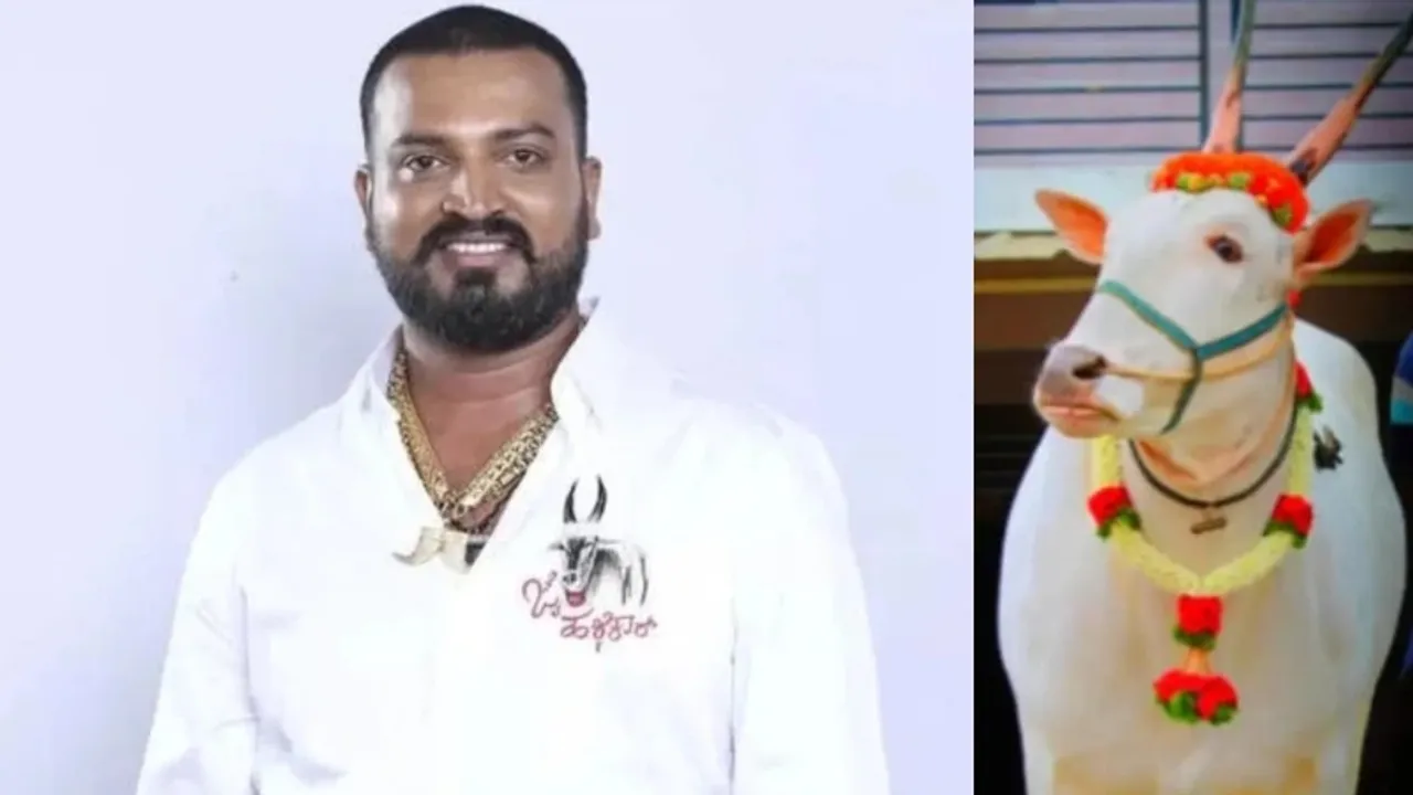 Bigg Boss contestant Varthur Santosh accused of illegally transporting Hallikar cattle, could face FIR