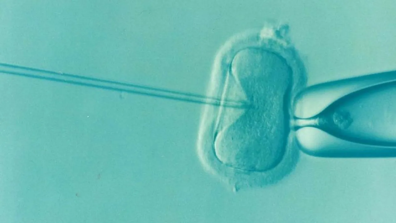 India's IVF boom amid declining fertility rates