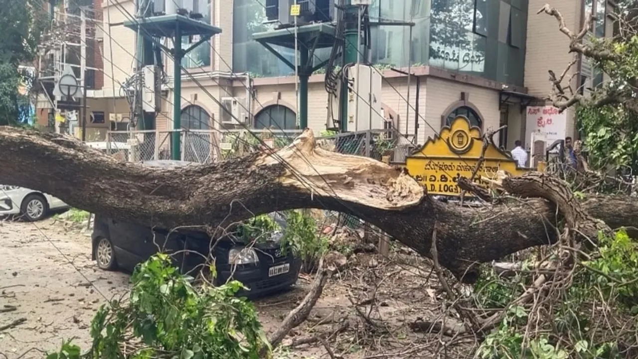 Fallen trees cause chaos in Bengaluru: Injured driver admitted to hospital