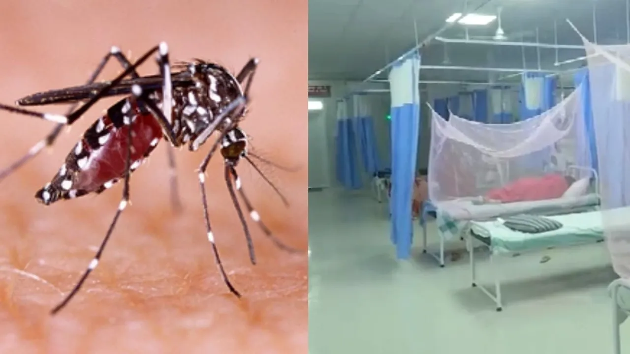 Dengue worsens in state, children at higher risk: State Health Department urges parents to take precautions