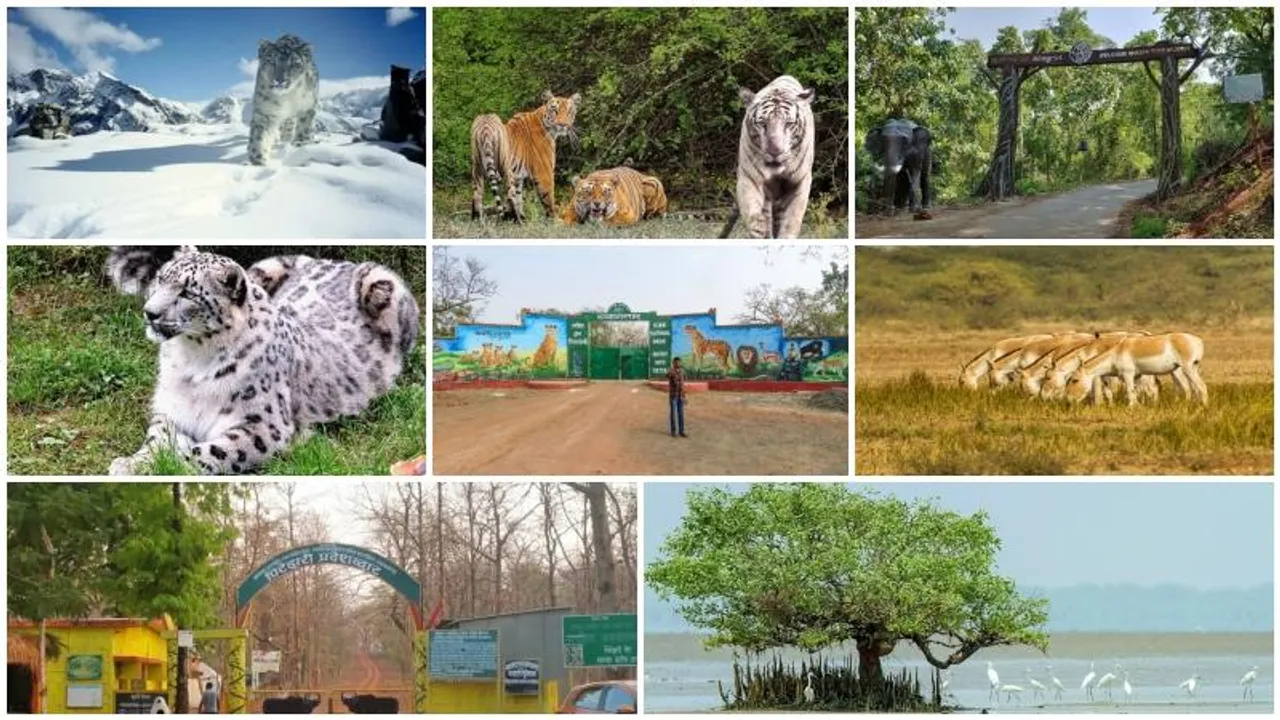Explore these India’s hidden wildlife sanctuaries