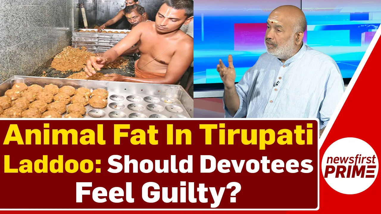 Animal Fat in Tirupati Laddoo: Should pious devotees feel guilty? 