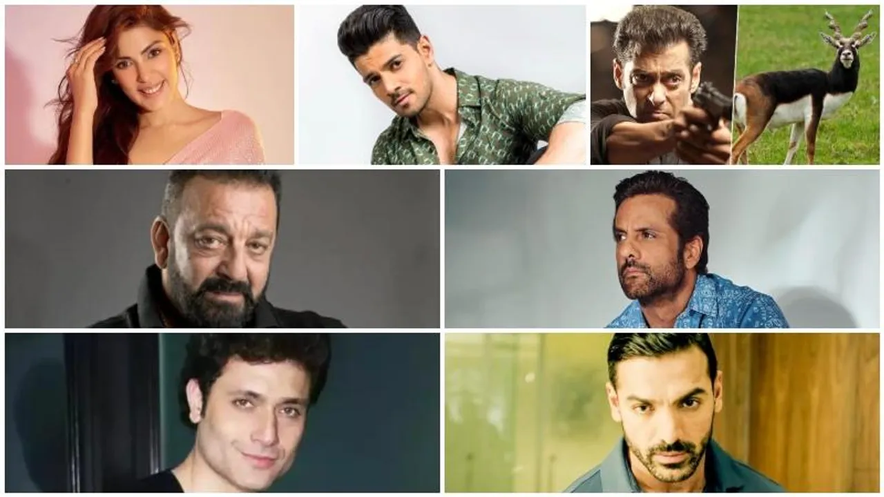 Bollywood celebrities who faced jail time: A closer look