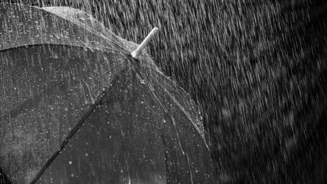 Evening rains bring relief and tragedy in Bengaluru; auto driver dies after tree falls