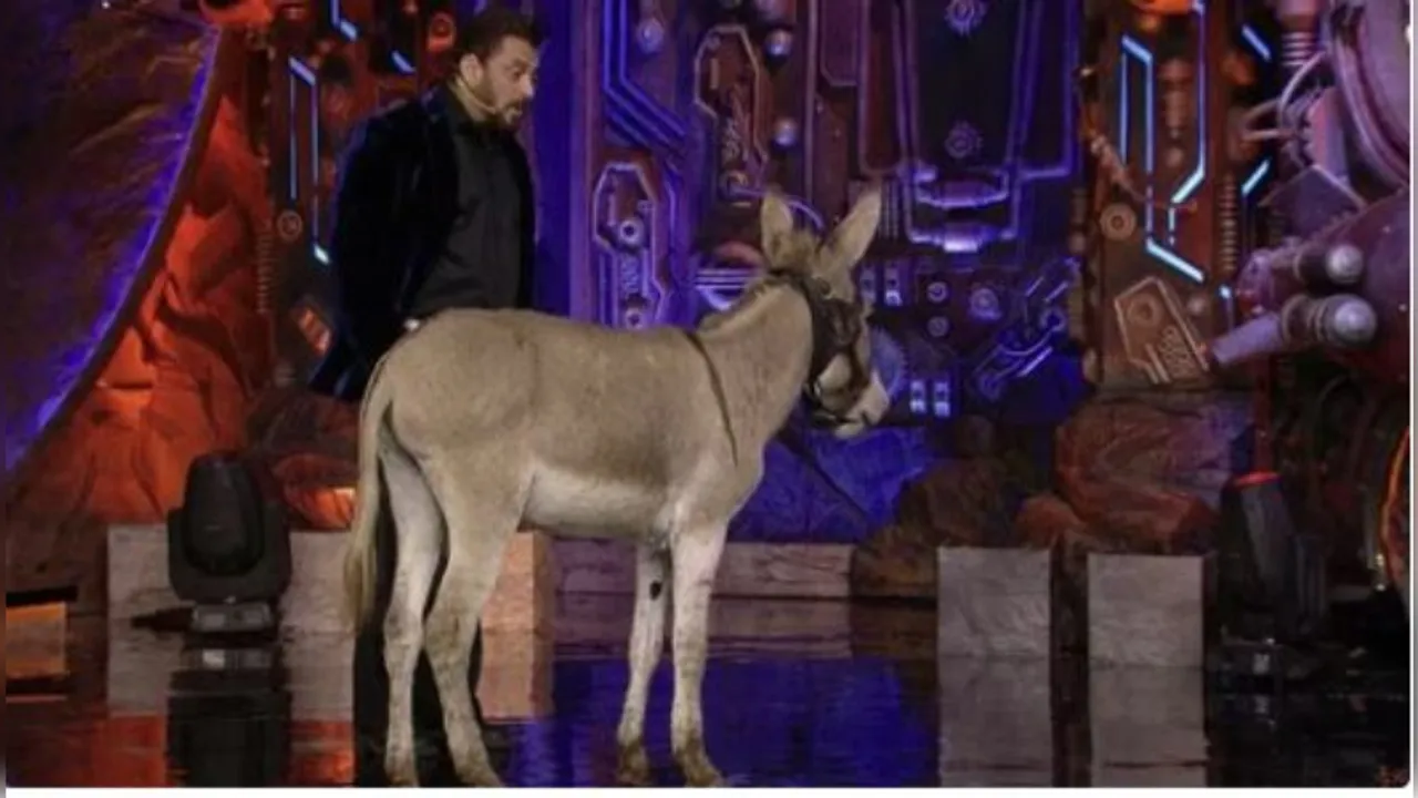 PETA objects to donkey's presence in Bigg Boss 18, appeals to host Salman Khan