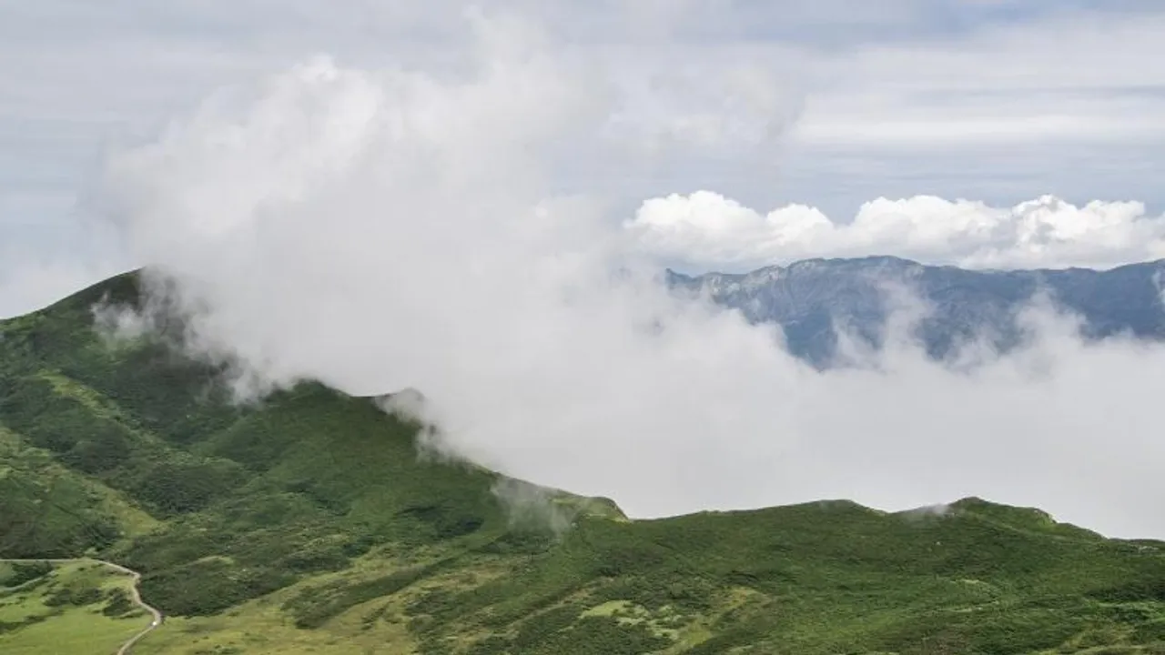 IMD’s colour-coded weather alerts: A quick guide 