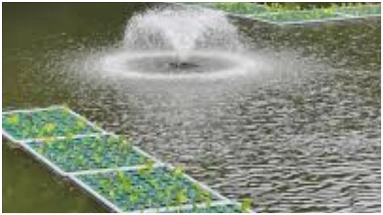 Floating gardens set to bloom in Bengaluru’s Lalbagh, inspired by Srinagar’s Dal lake