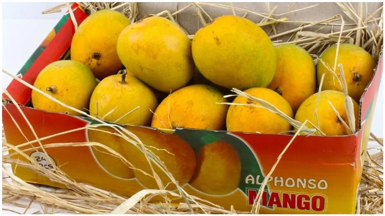 Postal department launches doorstep mango delivery service in Bengaluru