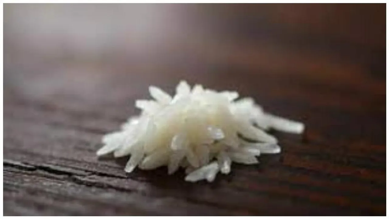 India creates history with first-ever genome-edited climate-smart rice