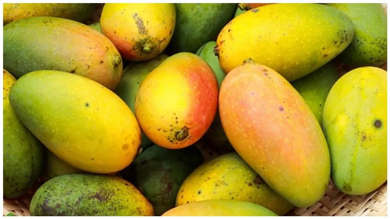 Mangoes and Diabetes: Sweet Treat or Health Risk? Experts Answer