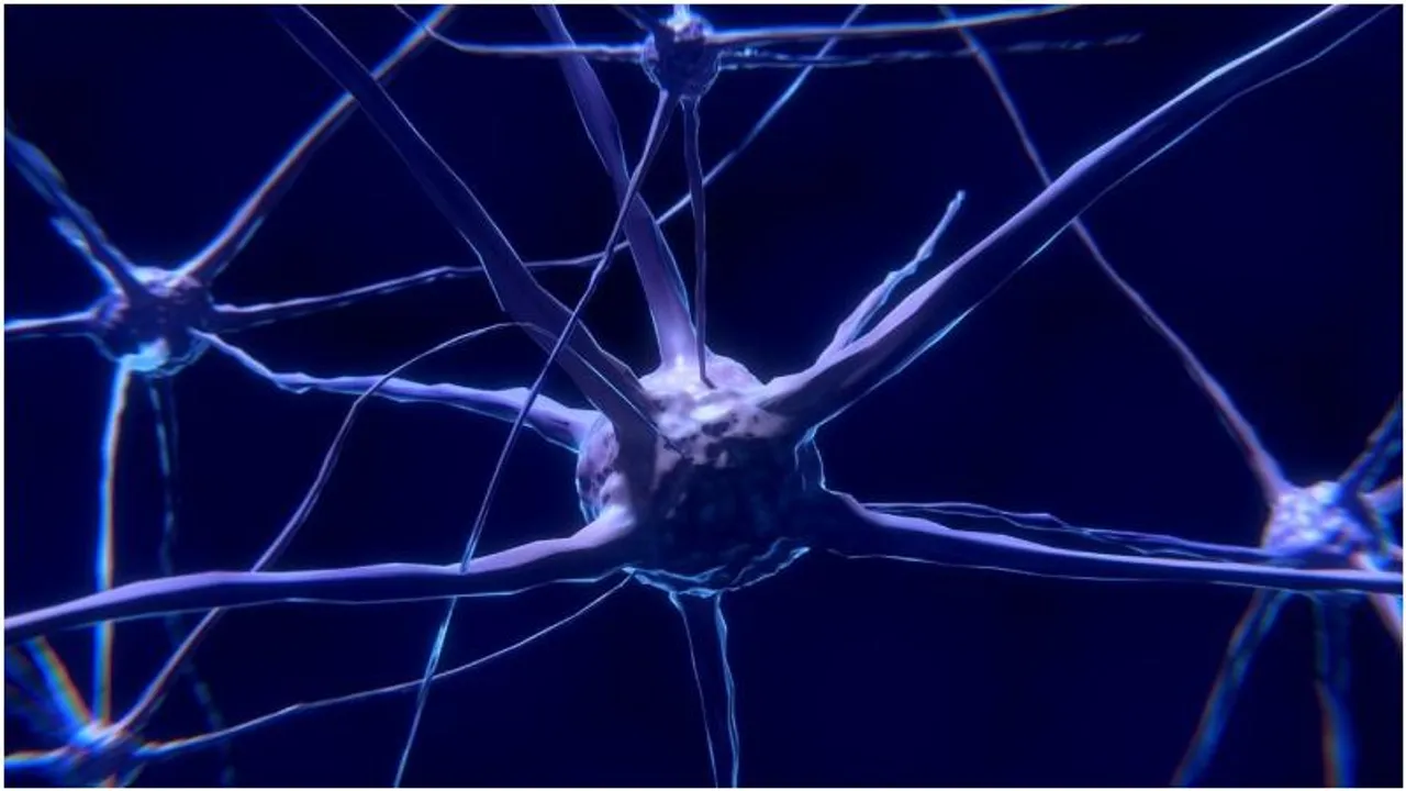How the Vagus nerve can boost health and longevity