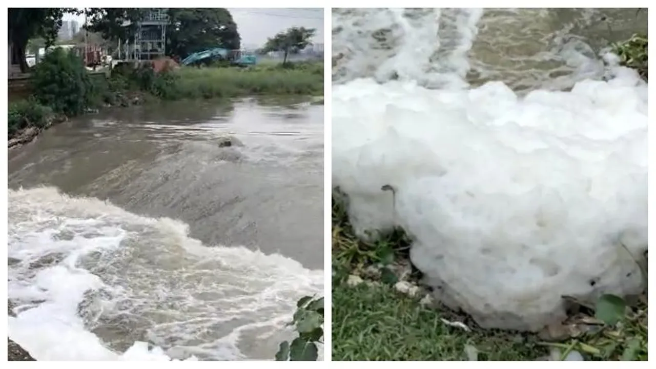 Bellandur lake foam threatens residents: Pollution & heavy rains fuel the crisis
