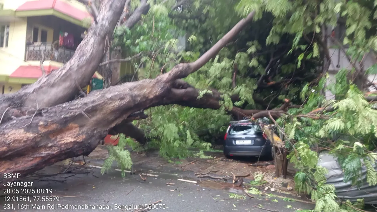Relentless Bengaluru rains wreak havoc: Giant tree uproots near Padmanabhanagar Circle, damaging property