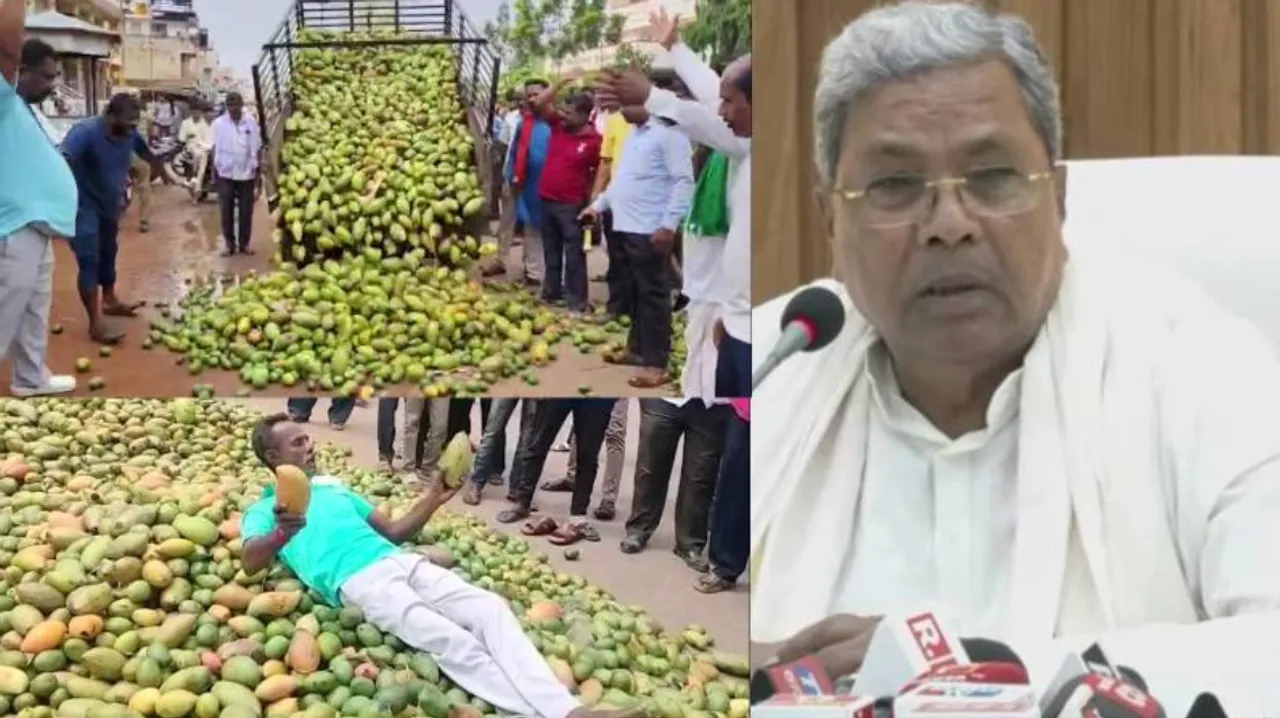CM Siddaramaiah writes to CM Chandrababu Naidu to lift ban on Totapuri mangoes