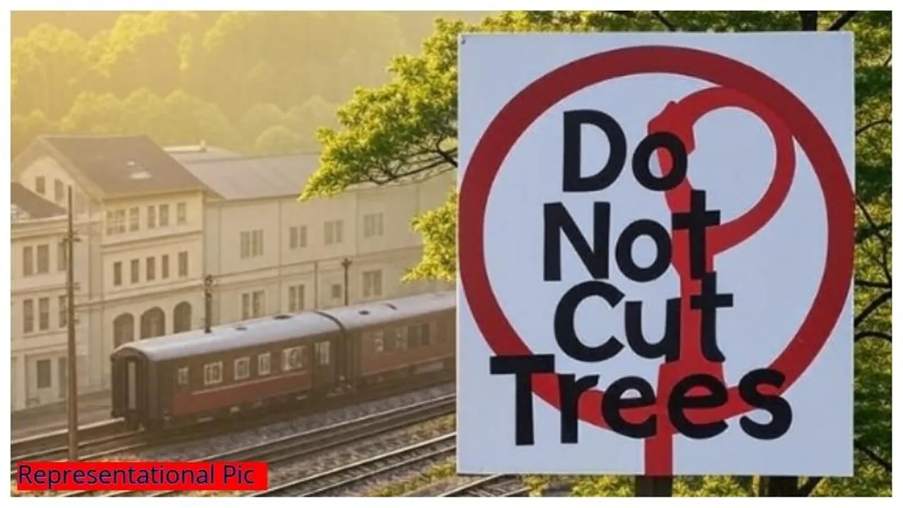 Bengaluru: Environmentalists write to PM against 368 trees felling for commercial project