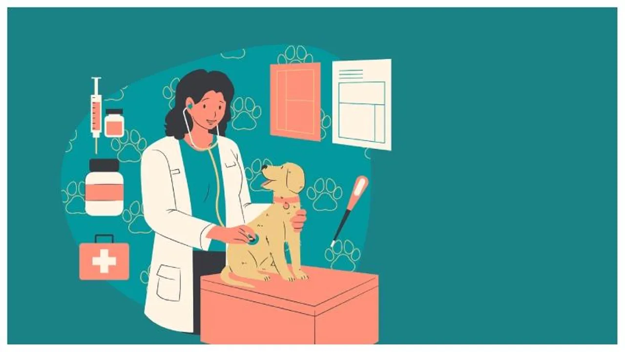 BBMP to launch 8 government veterinary hospitals across Bengaluru to support pet owners and animal rescuers