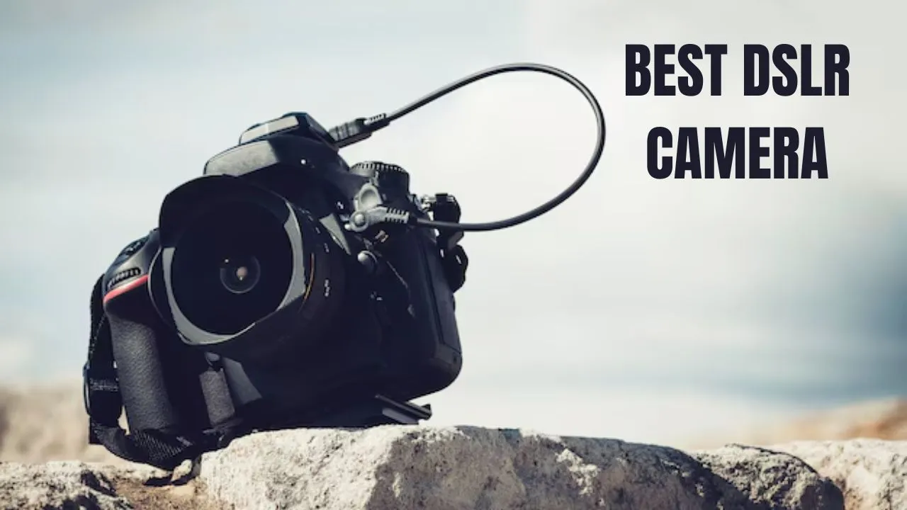 Best DSLR Cameras