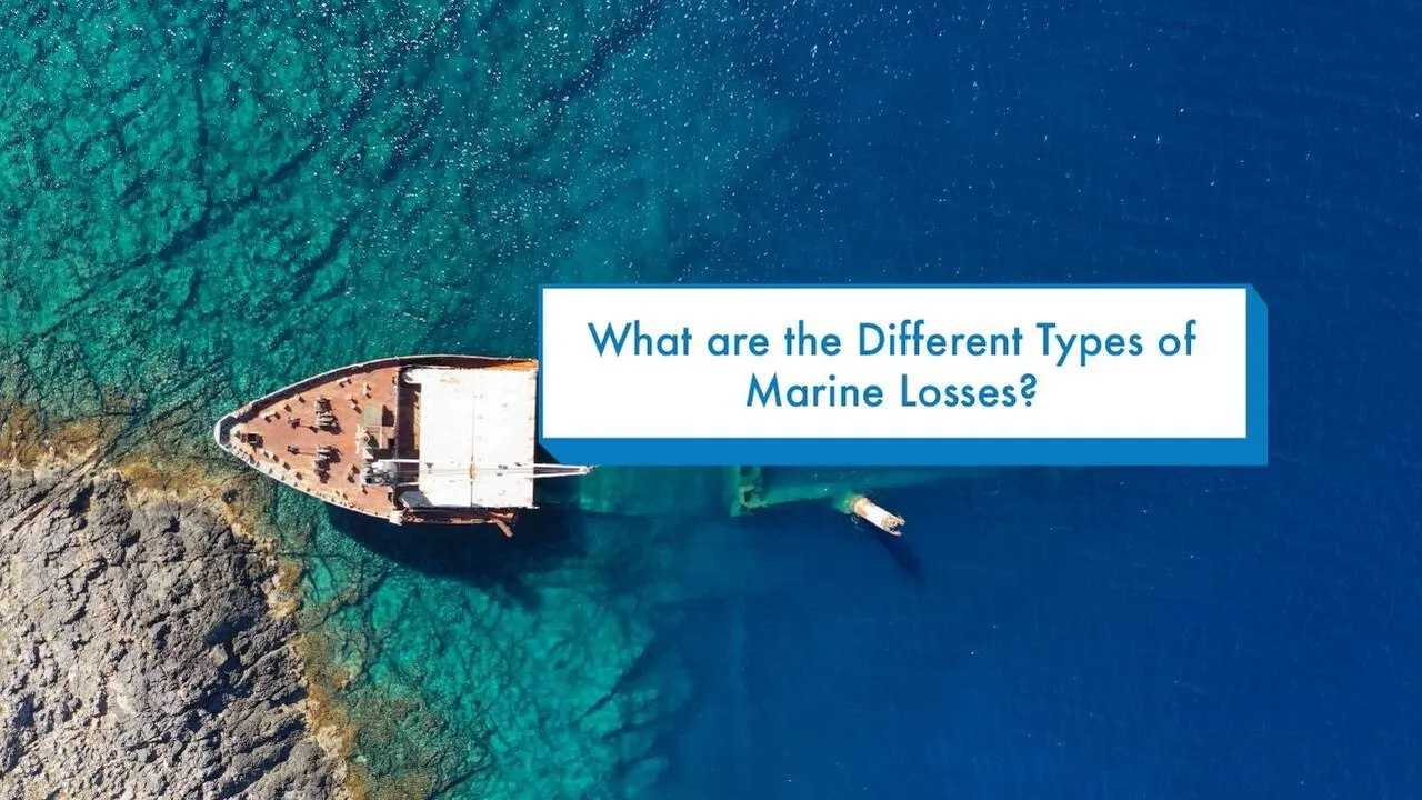 Infographic showing the breakdown of marine insurance losses, from total loss to partial loss categories like general and particular average.