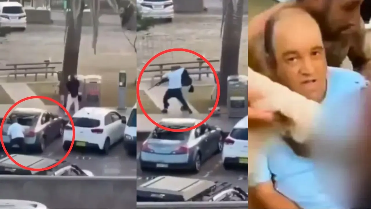Bondi Beach shooting: Who is Ahmed Al Ahmed? Bystander hailed as 'Hero' for disarming Sydney shooter