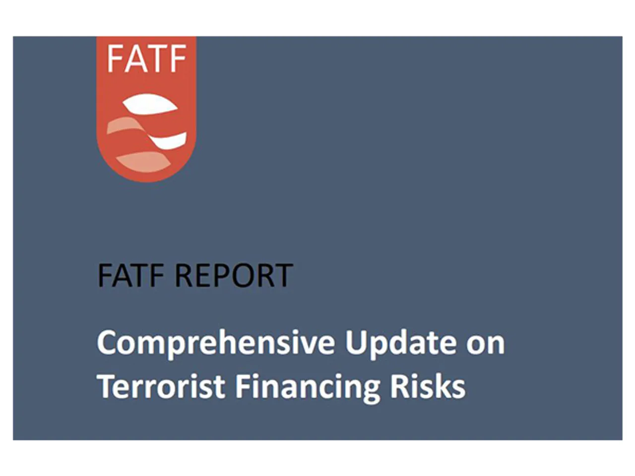 FATF report (Image: FATF report)