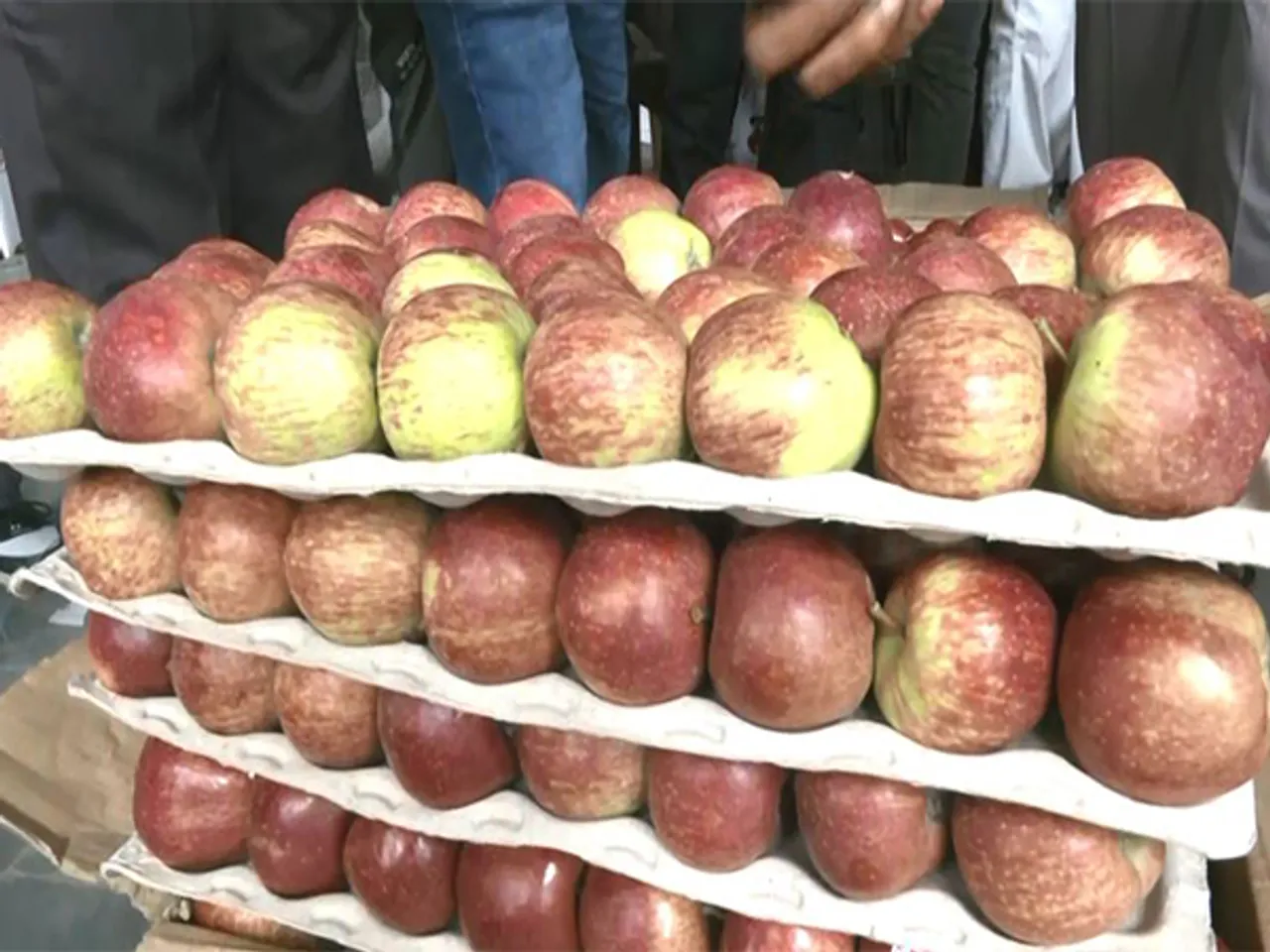 Apples sold in wholesale markets in Himachal Pradesh (Photo/ANI)