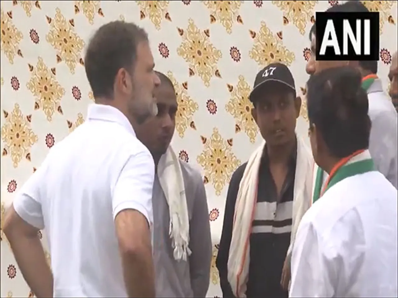 Rahul Gandhi (Photo/ANI)
