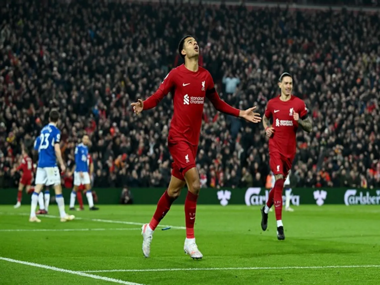 Cody Gakpo. (Photo: Liverpool FC X)