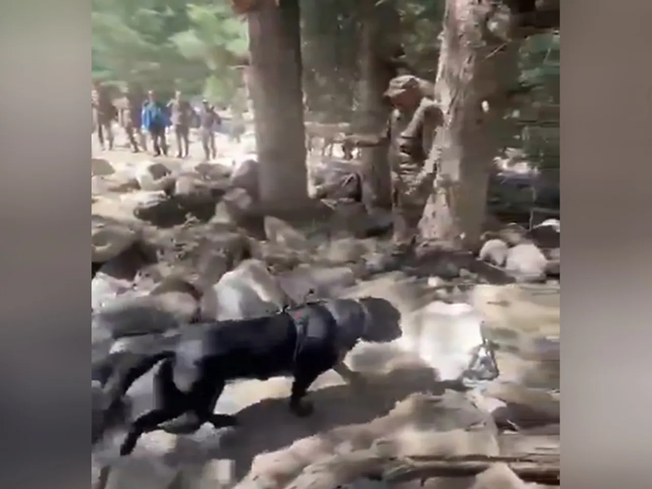 Specialised Indian Army canine teams in action (Photo: Indian Army)