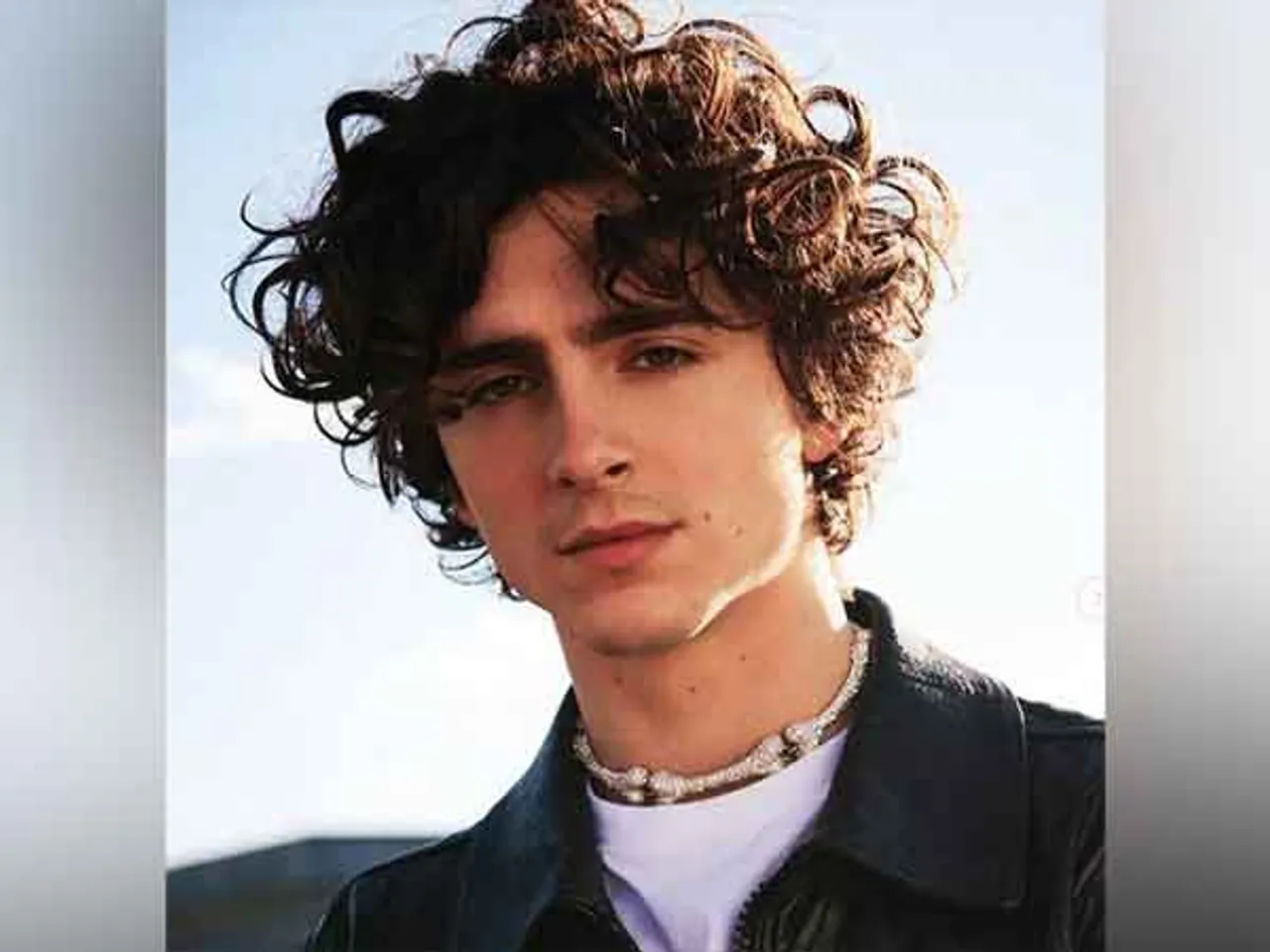Timothee Chalamet (Photo/Instagram/@tchalame)