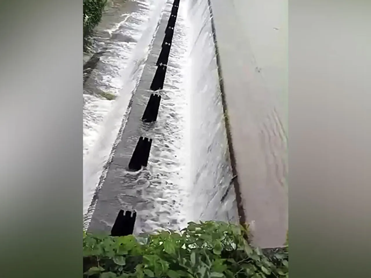 Mumbai's Tulsi Lake (Photo/ANI)