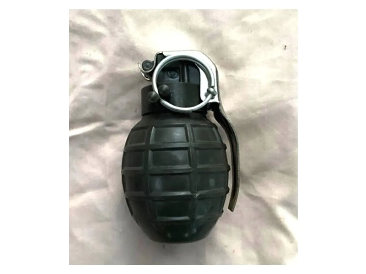 Recovered 86P hand grenade  (Photo/ Punjab Police)