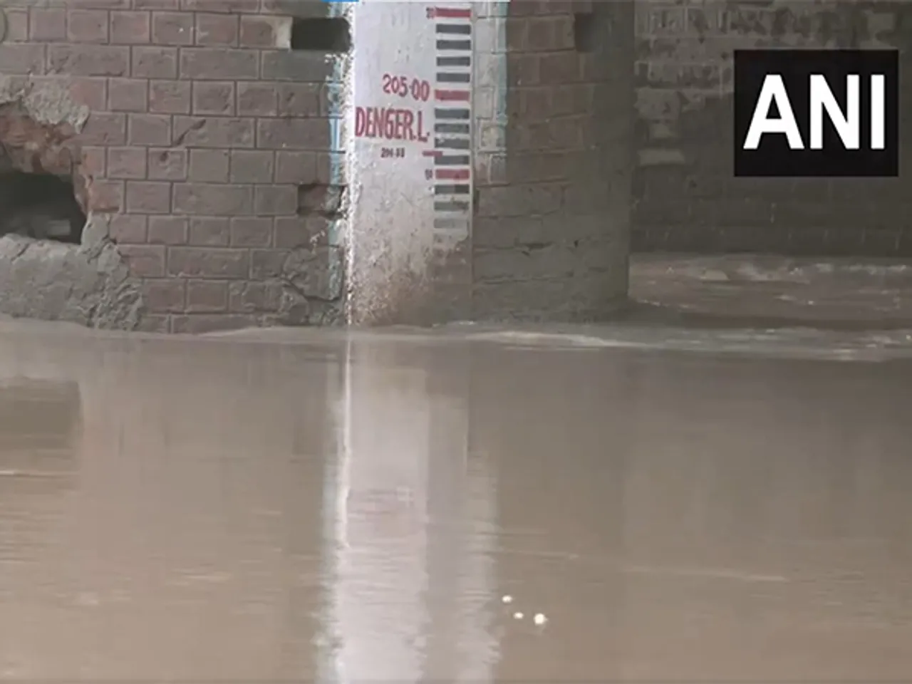 Yamuna flowing close to danger level (Photo/ANI)