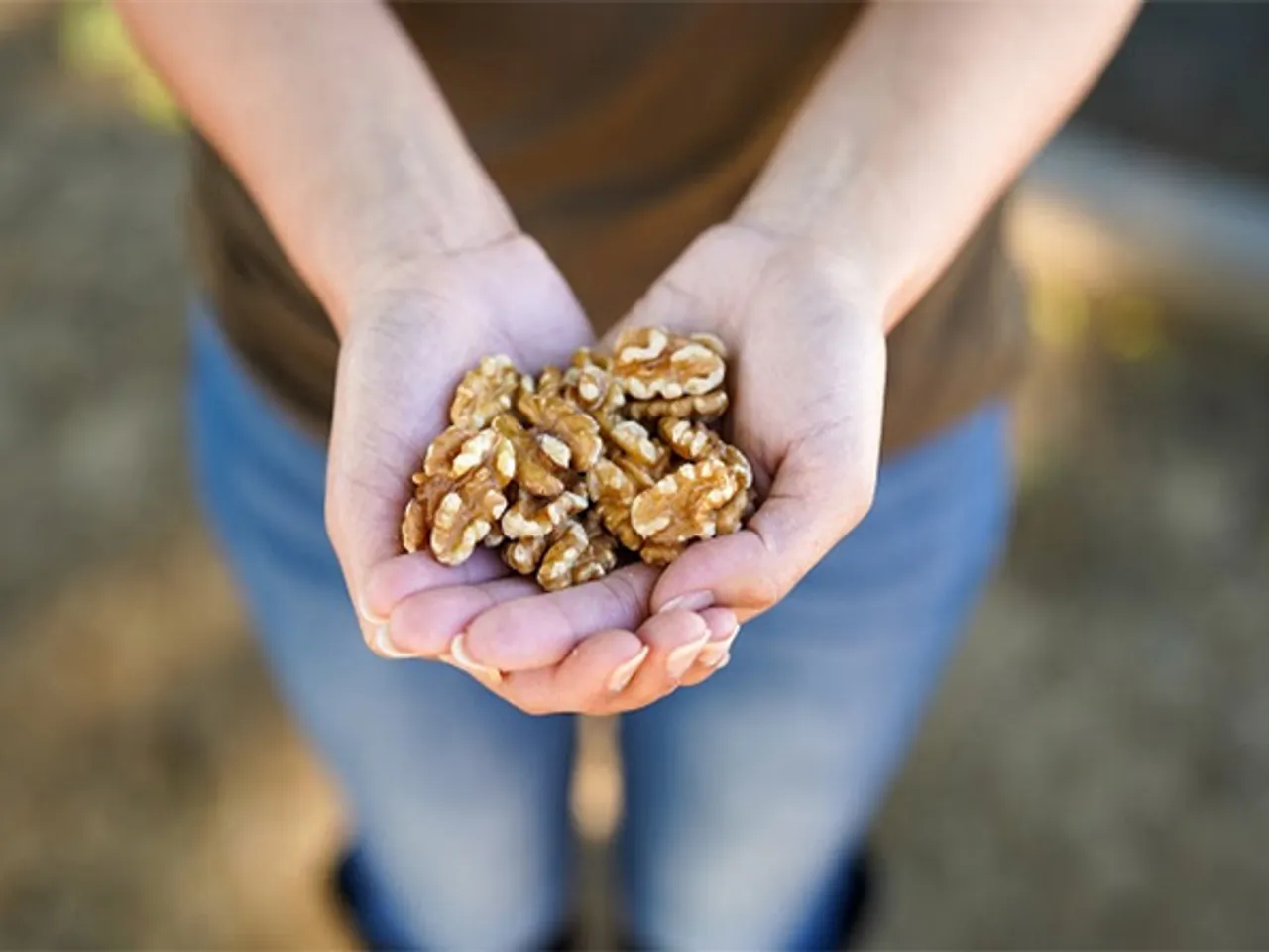 A handful of California walnuts