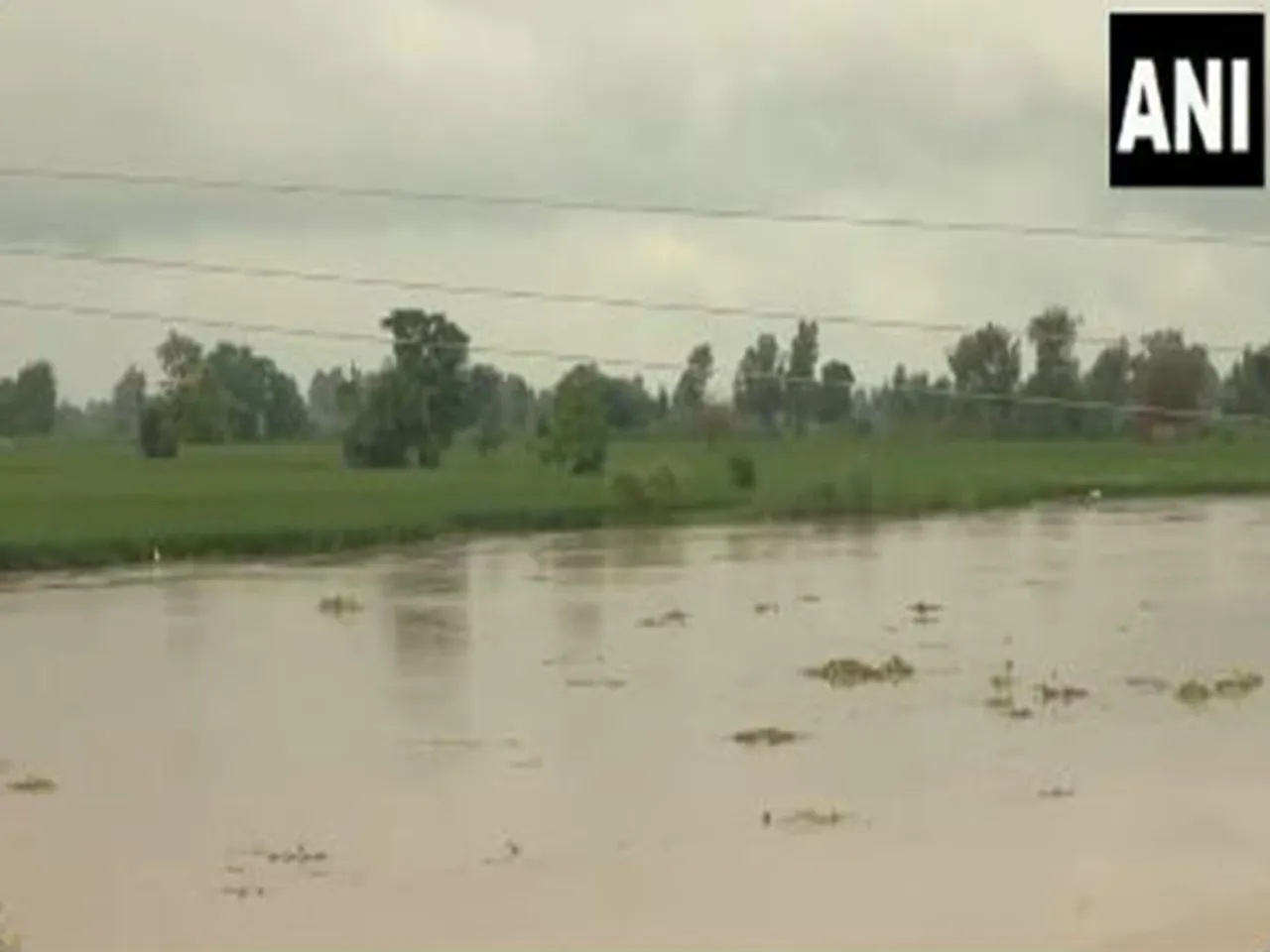 Flooded-affected villages at Hussainiwala border in Ferozepur.