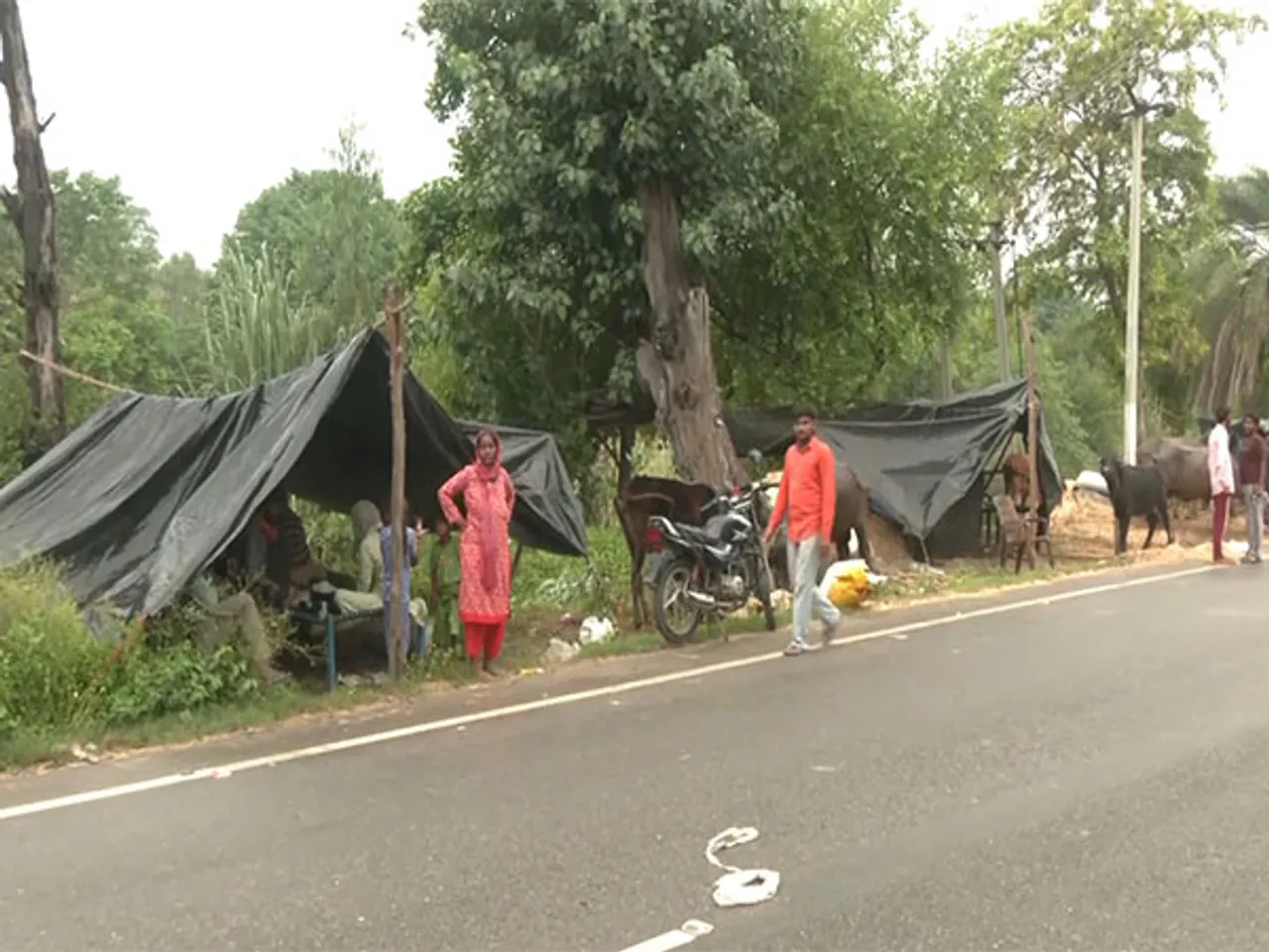 1,75,216 hectares of total cropland have been affected due to heavy rain (Photo/ANI)