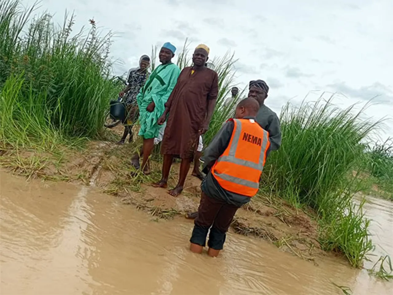 Representative Image (Image: X@nemanigeria)