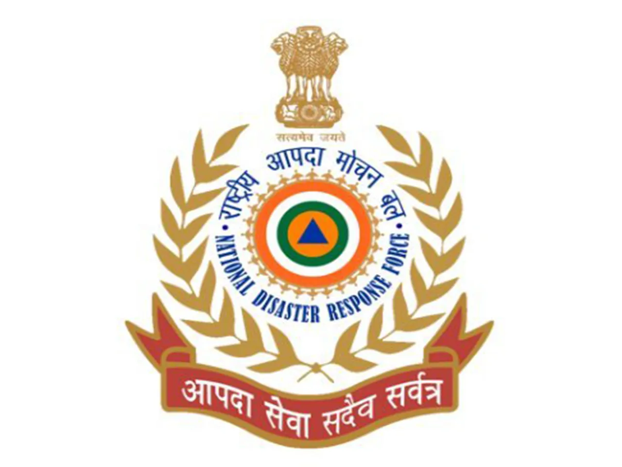 Official logo of NDRF (Photo/X)