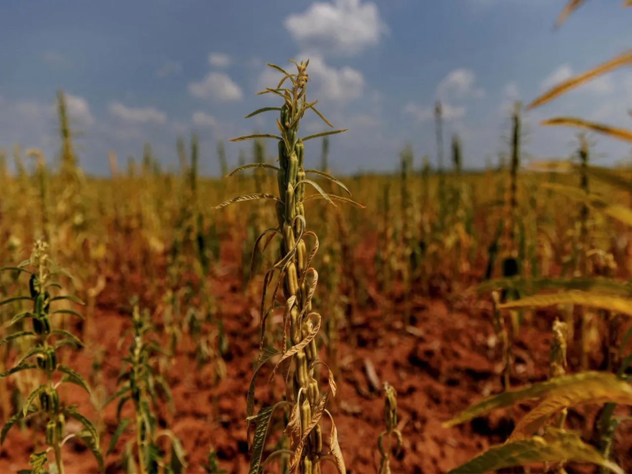 Representative Image (Photo/Reuters)
