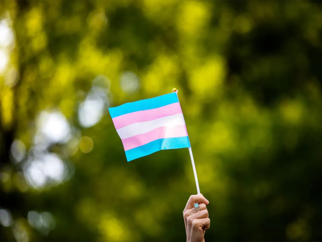 Transgender rights activist waves a transgender flag (Photo/Reuters)