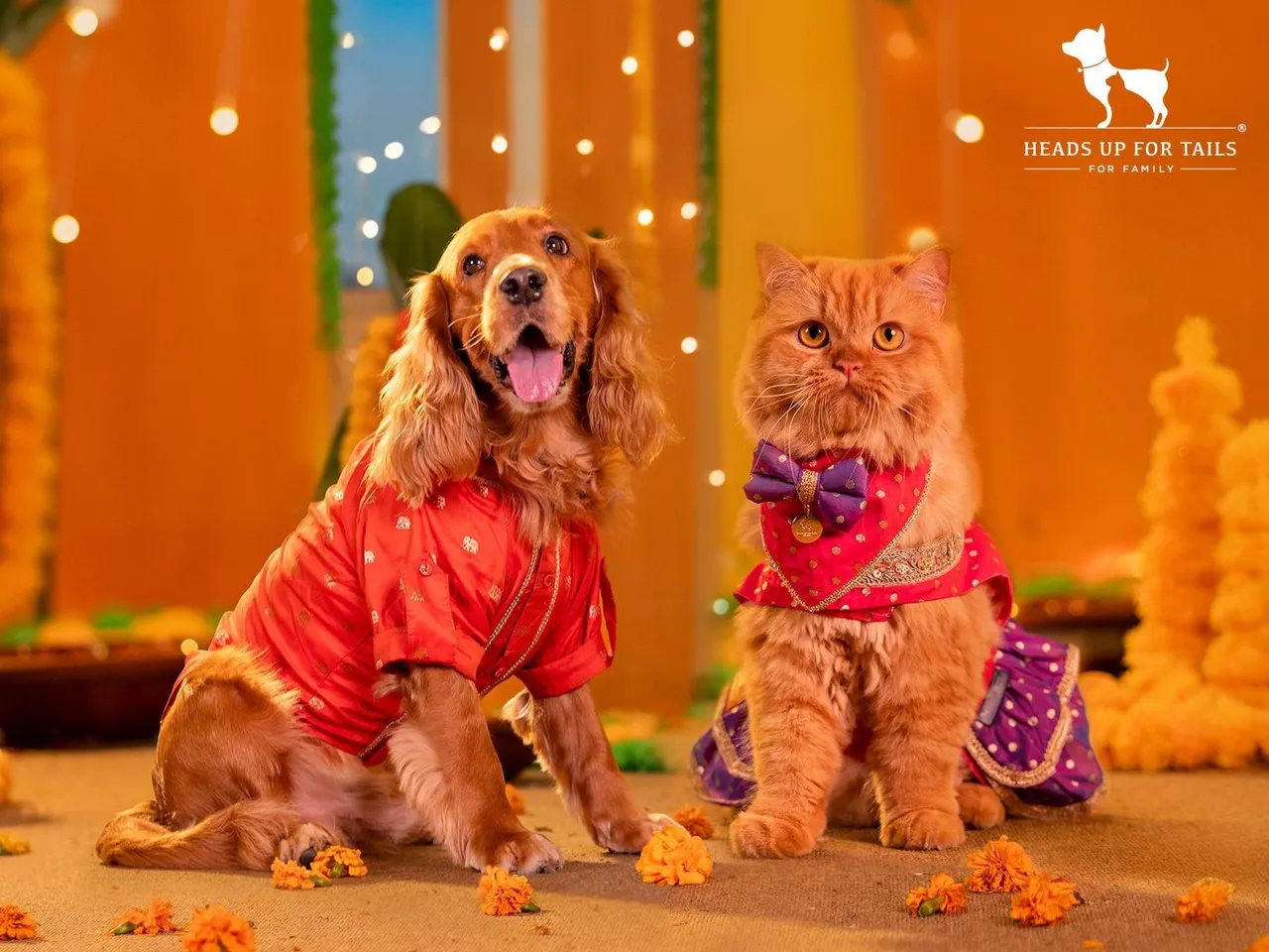 HUFT Launches ‘Dil Se Desi’ — A Festive Collection That Celebrates Pets as Family