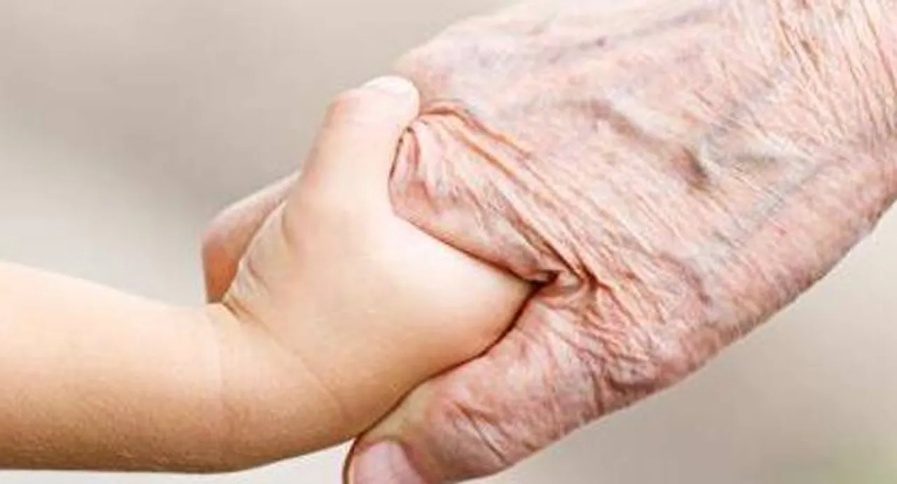 Antibody may treat age-related muscle decline: study