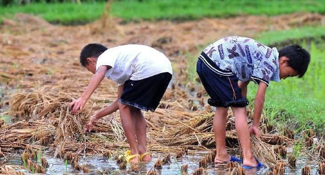 Kids in rural areas at higher risk of medication poisoning