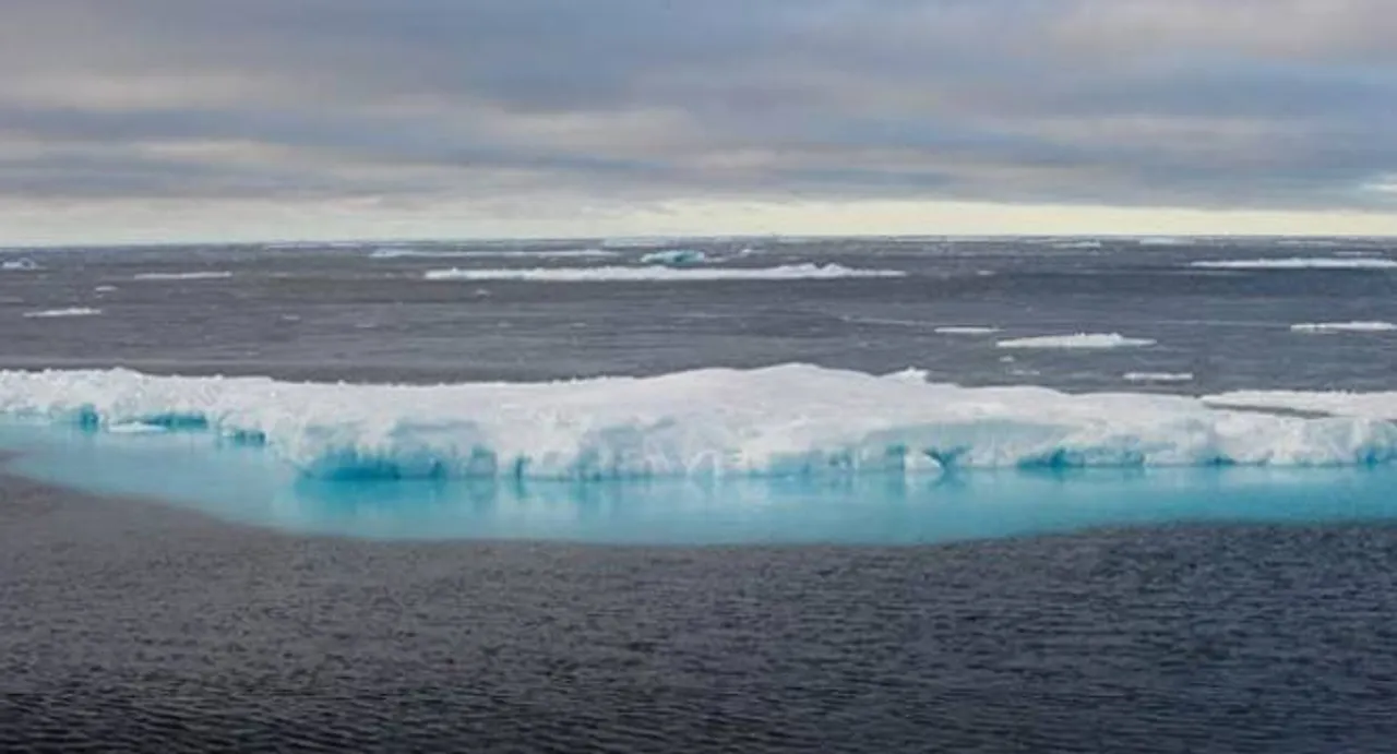 Arctic animals navigate by the light of winter Moon